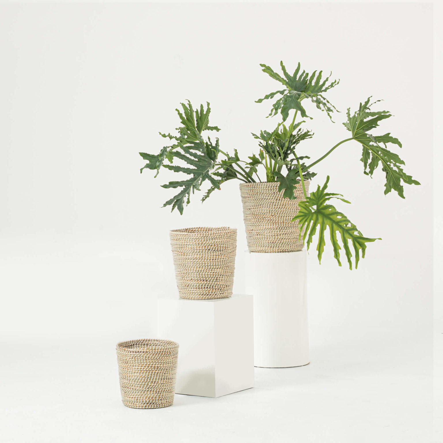 Seagrass Woven Taper Scandinavian Plant Pots Wholesale