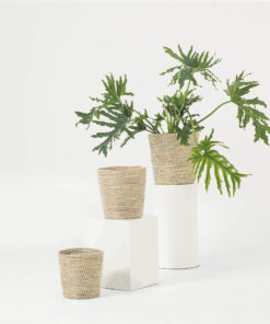Seagrass Woven Taper Scandinavian Plant Pots Wholesale