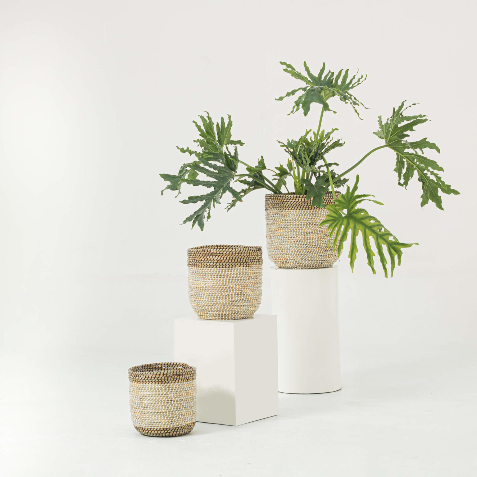 Two-color Seagrass Scandinavian Plant Pots Wholesale