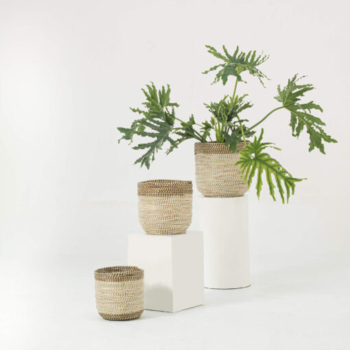 Two-color Seagrass Scandinavian Plant Pots Wholesale