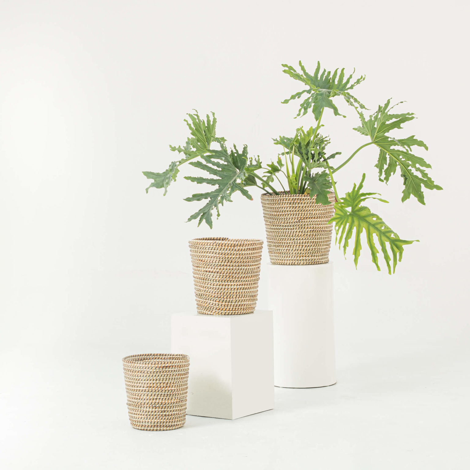 Natural Seagrass Banana Wicker Planters Indoor Wholesale