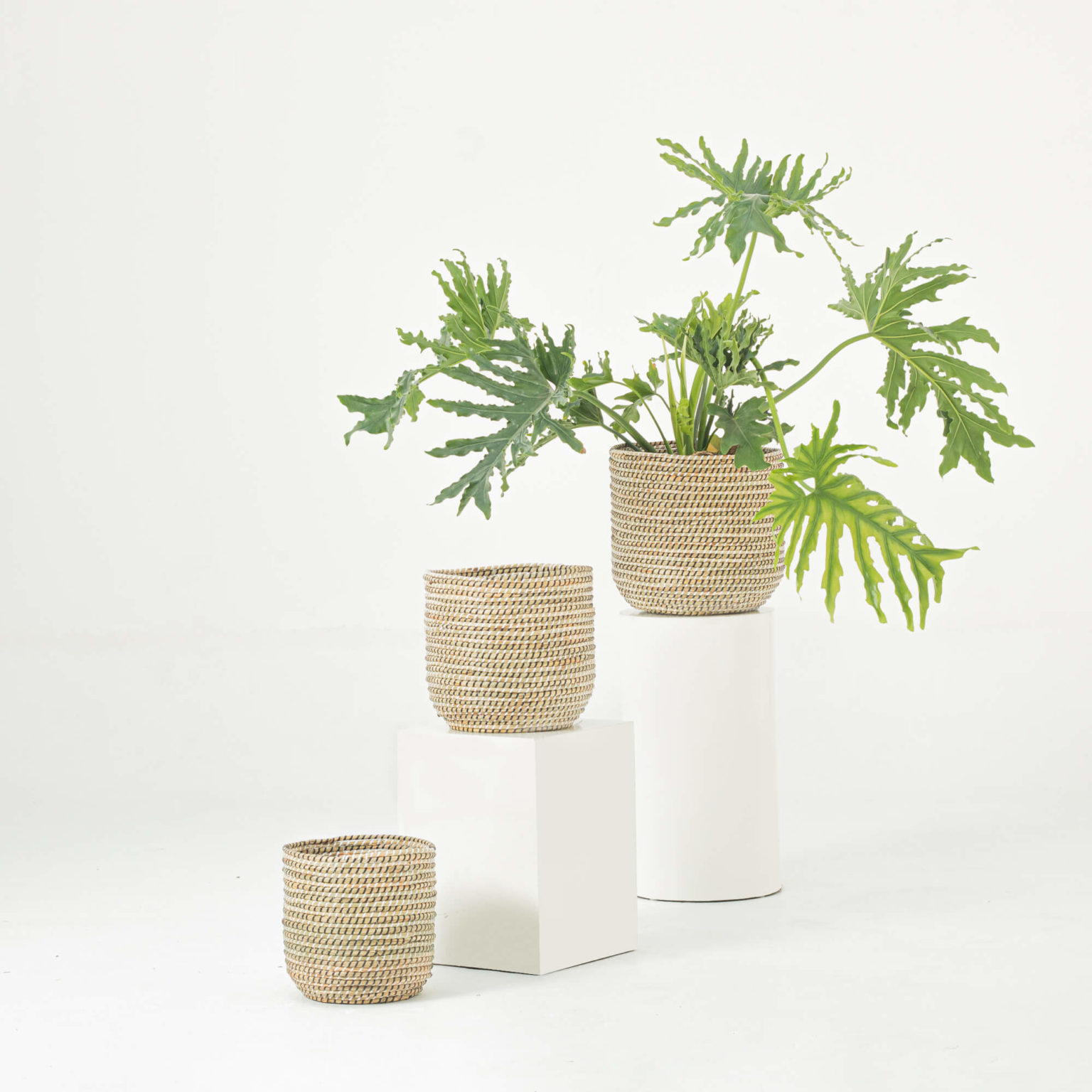 White Seagrass Wicker Scandinavian Plant Pots Wholesale