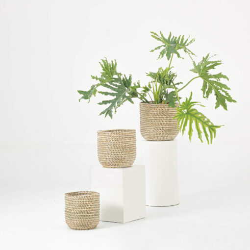 White Seagrass Wicker Scandinavian Plant Pots Wholesale
