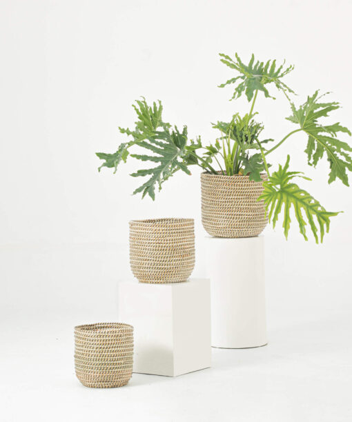 White Seagrass Wicker Scandinavian Plant Pots Wholesale