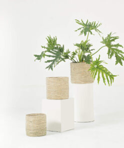 Minimal Woven Seagrass Baskets For Plants Wholesale