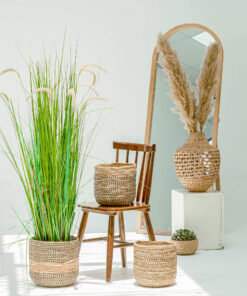 Natural Seagrass Banana Wicker Planters Indoor Wholesale