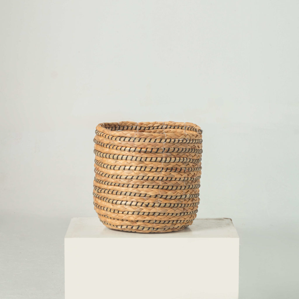 Artex Nam An