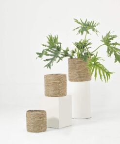 Seagrass indoor planter