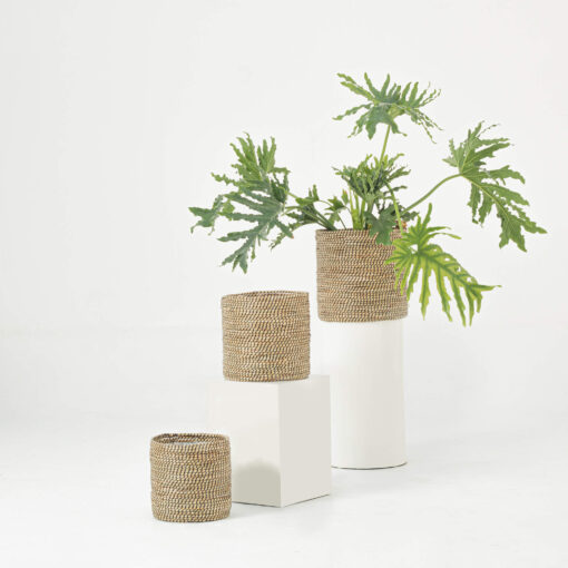 Seagrass indoor planter