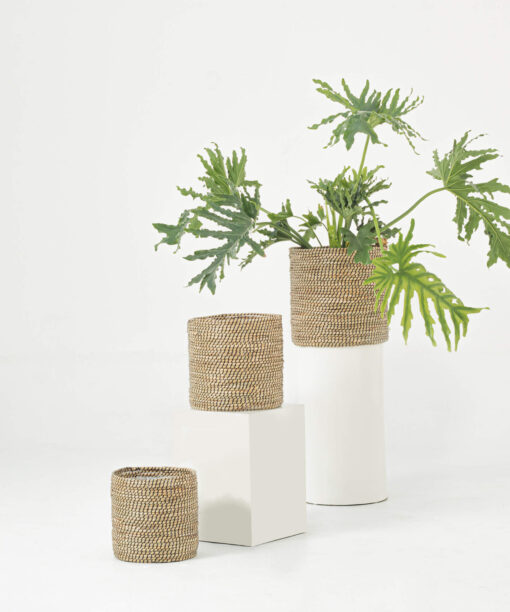 Seagrass indoor planter