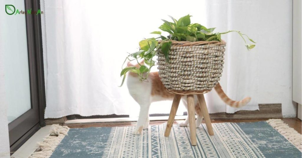 wicker pots for plants wholesale
