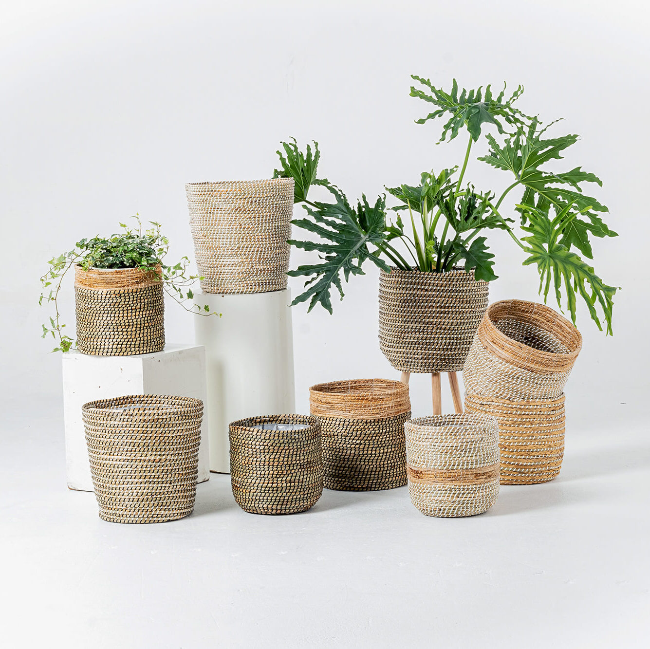 Minimal Woven Seagrass Baskets Planter Wholesale Made in Vietnam