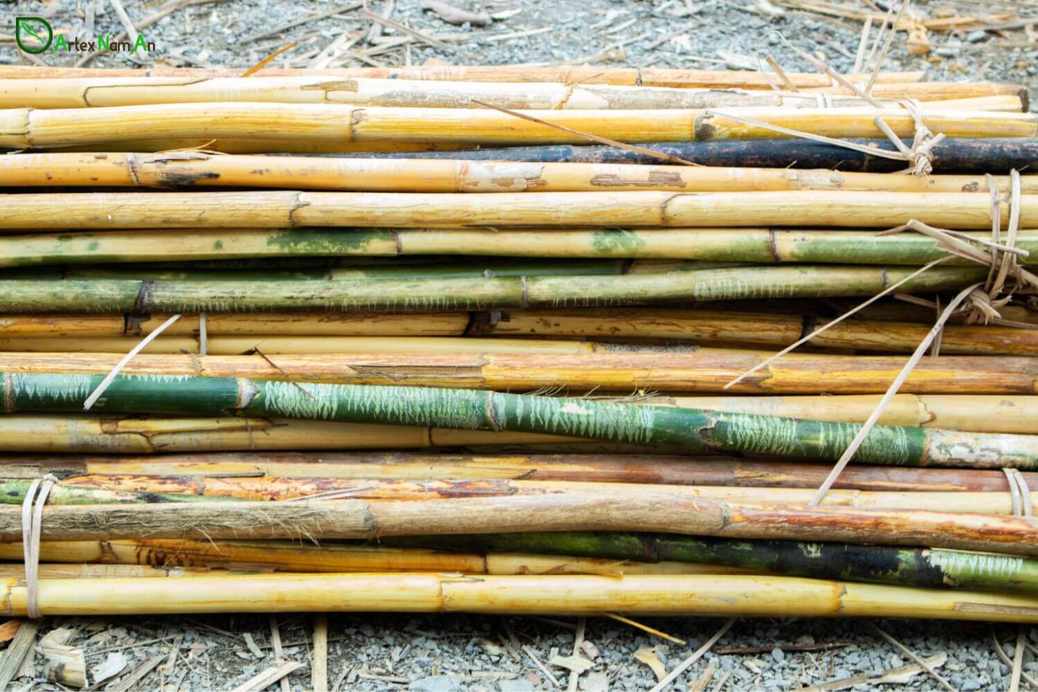 What Is Rattan Wicker? 5 Things To Explore Rattan Home Goods Wholesale