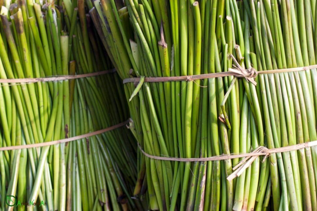 Water hyacinth wicker baskets bulk weaving material