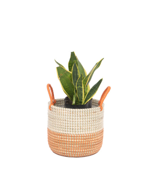 Coiled Seagrass Wicker Pots For Plants Wholesale