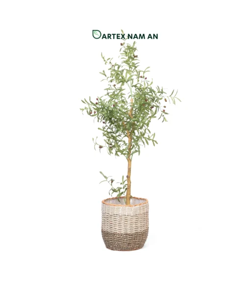 Wholesale Planter made from seagrass and rattan core for indoor gardens and modern interiors. Ideal for contemporary, midcentury, modern and Japandi style homes, HORECA spaces and retail décor. We welcome bulk orders, OEM or ODM collaborations and private label projects for retailers, wholesalers, sourcing agents and HORECA buyers.