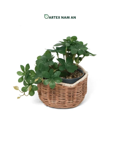 Expand your collection with our premium Wholesale Rattan Planter set of 3 nesting baskets. Featuring a rich natural brown body and an organic, scalloped cream accent rim. Ideal for indoor gardens, boutique hotel lobbies, contemporary offices, and lifestyle retail. Durable, stackable, and bulk-ready.