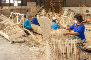 Wicker Furniture Supplier - Artex Nam An